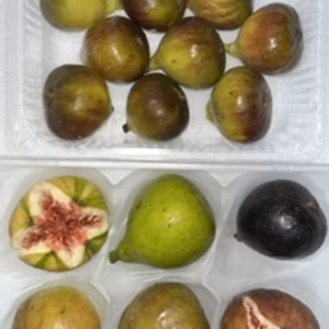 　本日の朝市❗️世界のイチジク食べ比べセット&ロードス