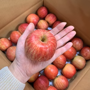 信州産"丸かじり"『完熟サンふじ（SSサイズ）』3kg〜