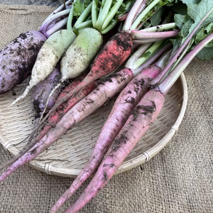 この時期ならでは！【葉っぱ付き】大根詰め合わせセット