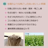 名物おいしい「冷たい肉そば4人前セット」 をご家庭で! 化粧箱入り ご贈答用