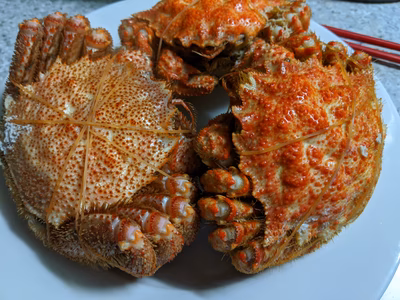 みんなの投稿の画像