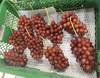 ★クール便　クイーンセブン ぶどう  3～4房　約1.2Kg～  朝採り