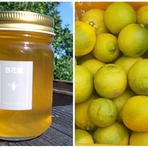 非加熱の純粋百花蜜150g＆防腐剤・農薬・ワックス・不使用レモン1kg