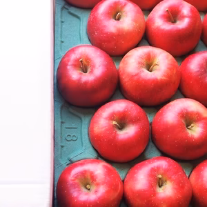 かぐや姫印　特別栽培完熟秋茜りんごLサイズ５ｋｇ