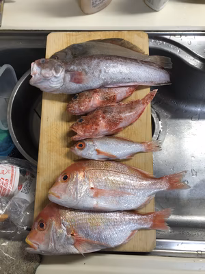 みんなの投稿の画像