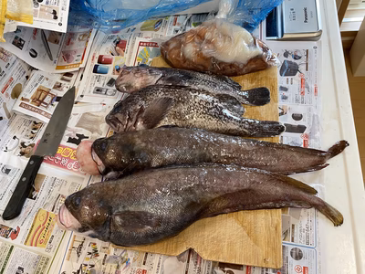 みんなの投稿の画像