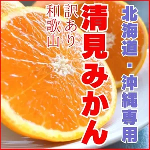 清見みかん きよみ 清見オレンジ 訳あり 和歌山県産  旬の果物