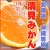 清見みかん きよみ 清見オレンジ 訳あり 和歌山県産  旬の果物