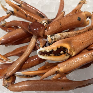 蟹爪　1kg袋詰め　冷凍配送　宇和島豊後水道産　宇和島漁師直送