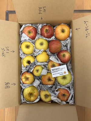 みんなの投稿の画像