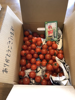 みんなの投稿の画像