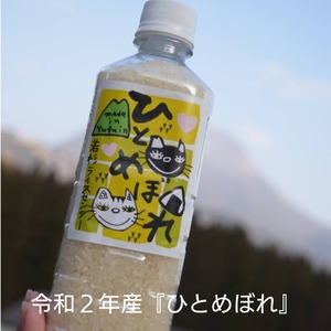 令和２年産❤️湯布院産『ひとめぼれ』ペットボトル500ml