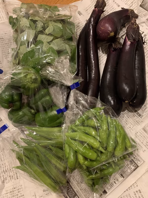 みんなの投稿の画像