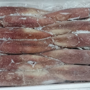 【-60度冷凍】冷凍ケンサキイカ　２.5ｋｇ