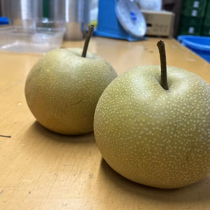幸水　3kg(6~12玉)