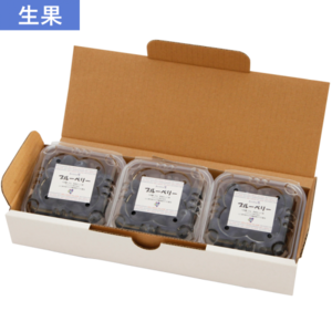 【予約販売】新鮮採れたてブルーベリー生果実３パックセット(山口県産)　