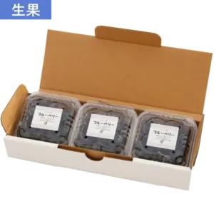 【予約販売】新鮮採れたてブルーベリー生果実３パックセット(山口県産)　