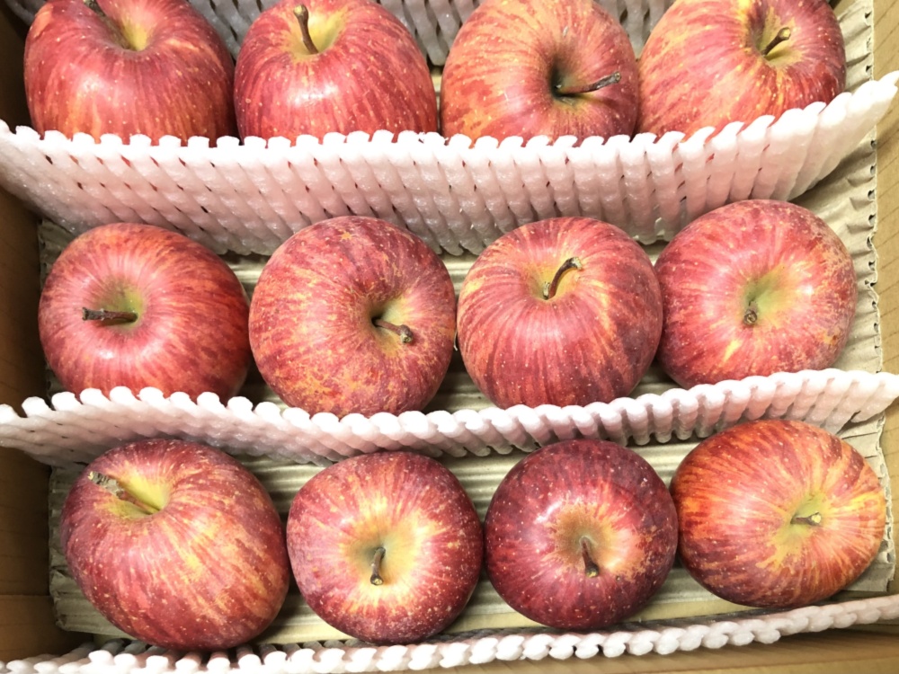 極小サイズの可愛い ポケットりんご 農家漁師から産地直送の通販 ポケットマルシェ