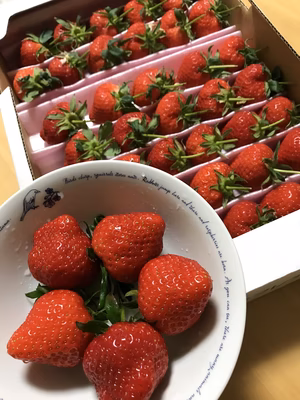 みんなの投稿の画像