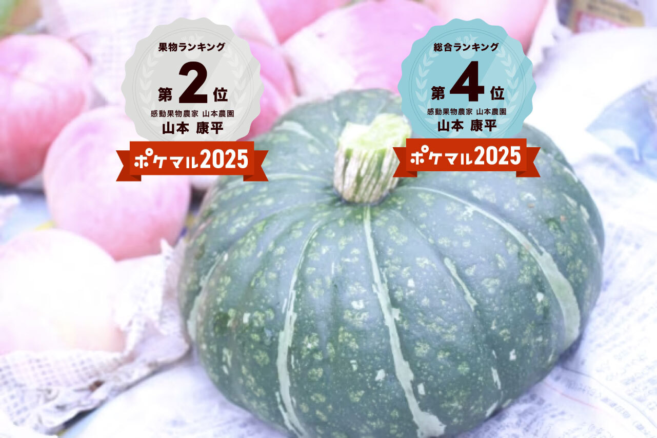 6月末～7月上旬予約 桃のそばで美味しい！桃栗かぼちゃ！ホクホク濃い