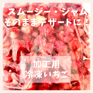認定農業法人空海の郷 古川 真さん 農家漁師から産地直送の通販 ポケットマルシェ