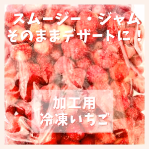 【香川県産】甘くて美味しい冷凍いちご♪スムージーやジャム、そのままデザートに！！