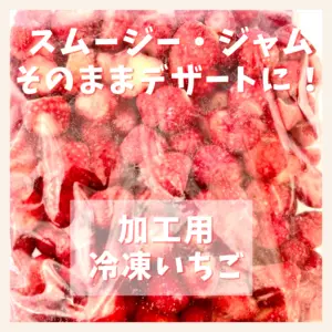 【香川県産】甘くて美味しい冷凍いちご♪スムージーやジャム、そのままデザートに！！