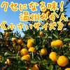 くせになる味！温州みかん《小さいサイズ》
