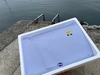 【ギフト】最高のつまみをどうぞ♪季節の天然魚の干物(3~4枚)