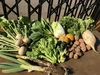 無農薬野菜セット　Mサイズ（8~10品）　定期便　毎週配送