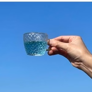 魔法のように色が変わる！　[鳥取産]バタフライピーのお茶