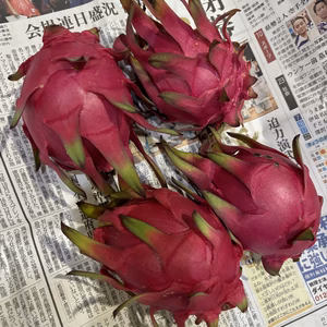 赤いドラゴンフルーツ