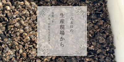 こ､これが例の「牡蠣のタネ」！😳6月前半の生産現場から