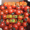 【令和改元記念】品種おまかせミニトマト大容量2.5kg 茨城県産