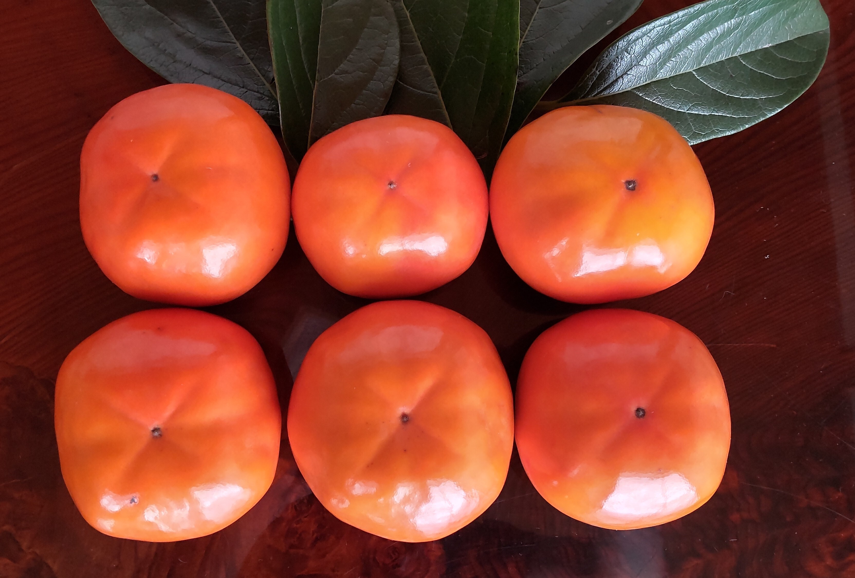 希少品種の完全甘柿 陽豊 (贈答用 6.5kg)｜柿の商品詳細｜ポケット