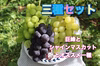 10月1日発送終了　ぶどう三種セット　家庭用　２キロから　長野県産