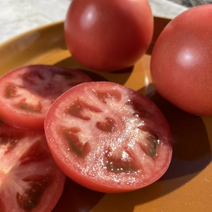 オマケ付き‼︎ココロが喜ぶ冬春トマト！！ずっしり、引き締まったトマトです！！