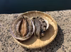 漁師直送★島根県産★素潜り天然鮑（アワビ）食べ比べセット