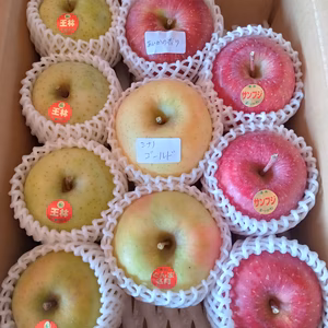 冬のりんご　食べ比べセット(3〜7品種)　数量限定