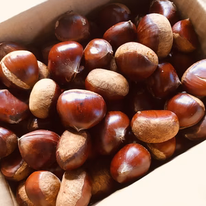 山猫園の訳あり栗　2kg