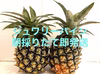 沖縄県石垣島産ジュワリーパイン（ハワイ種）3個入り