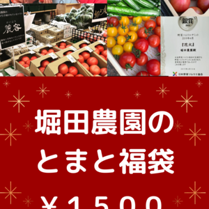 【とまと福袋‼︎】堀田農園のトマト&野菜おまかせ‼︎セット