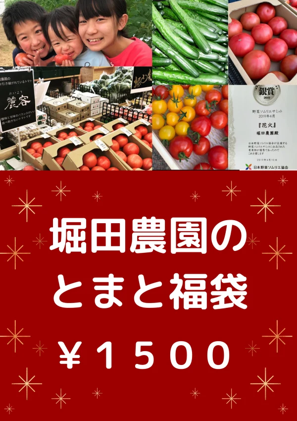 【とまと福袋‼︎】堀田農園のトマト&野菜おまかせ‼︎セット
