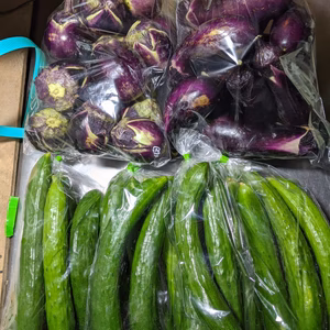 ナスとキュウリ