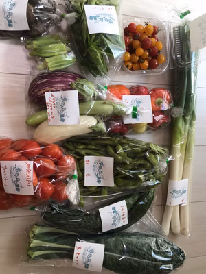 みんなの投稿の画像