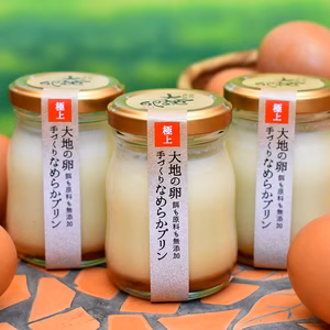 大地の卵　とろけるなめらかプリン　6個セット