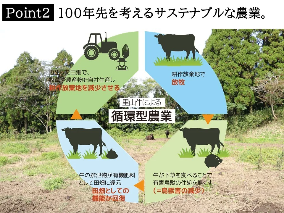 【お試しBOX】里山牛 訳あり福箱Special・第三弾セット 出会いの宝箱♪