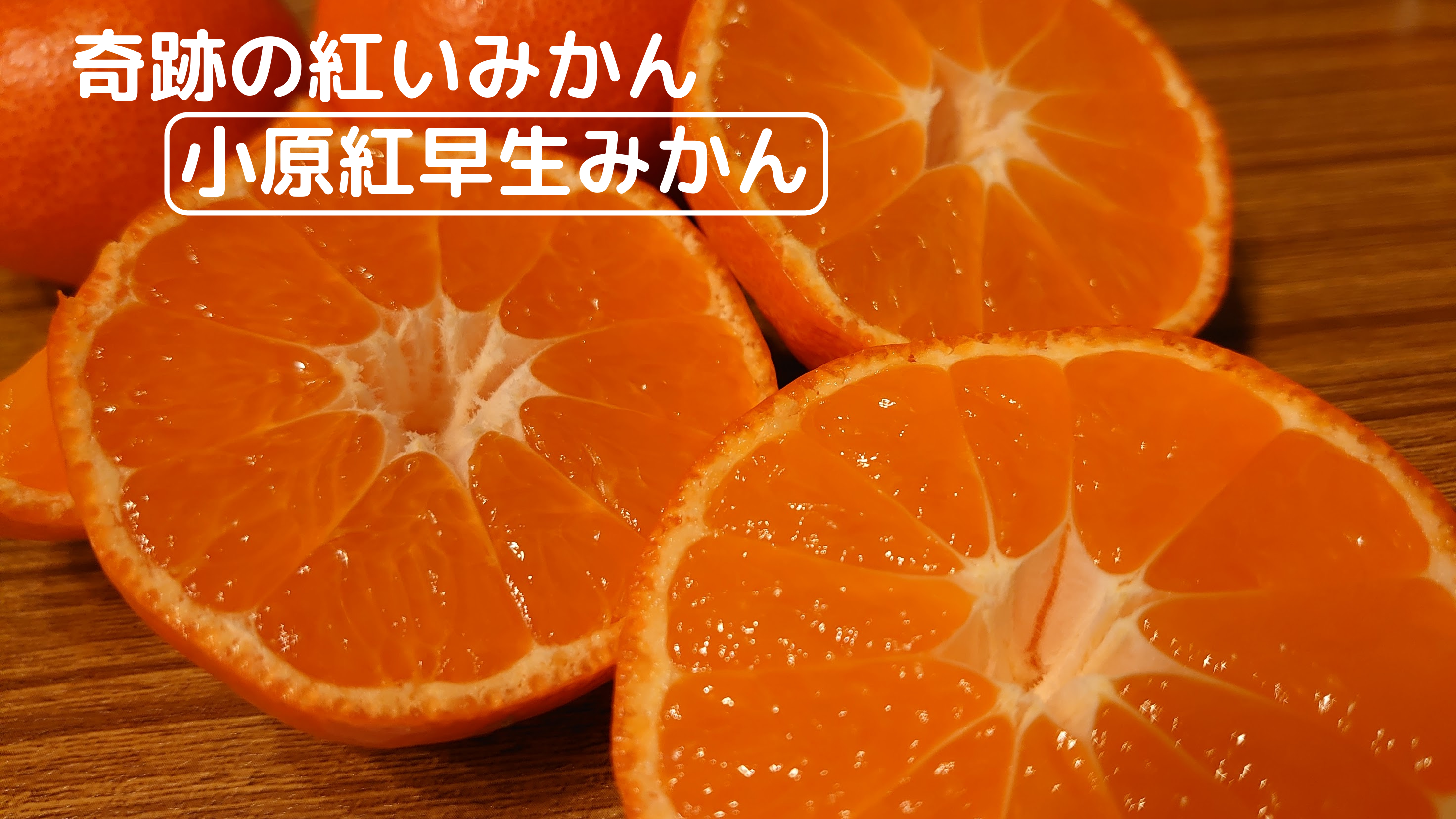 一度食べてみませんか 奇跡の紅いみかん 小原紅早生 ｓ ｍサイズ 農家漁師から産地直送の通販 ポケットマルシェ