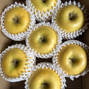 【2025ギフト】シャキッと食感❗️果汁たっぷり‼️《シナノゴールド》