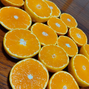 由良ゆらら【小粒小玉】3.3kg（箱込）